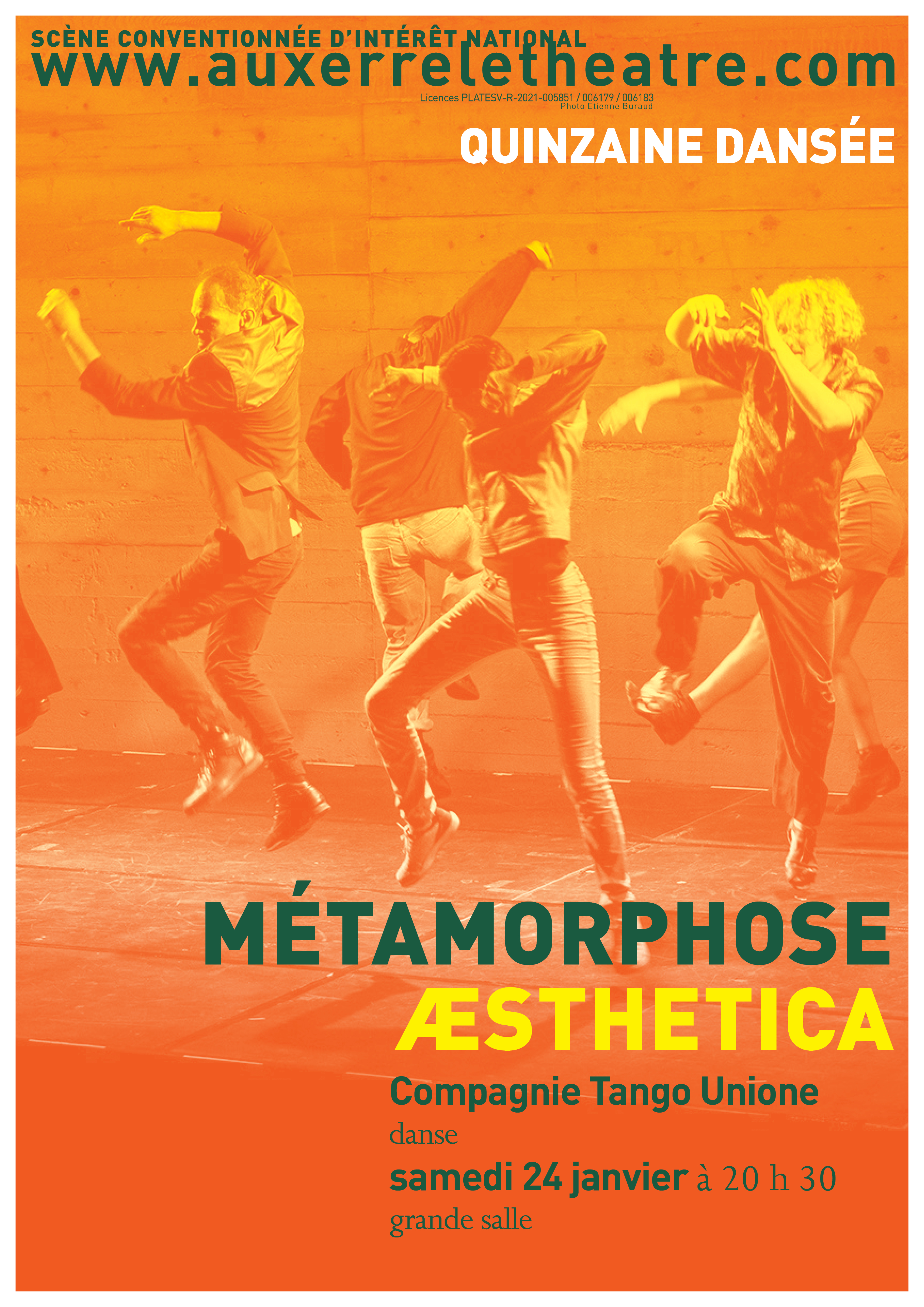 affiche A3 Métamorphose Aesthetica