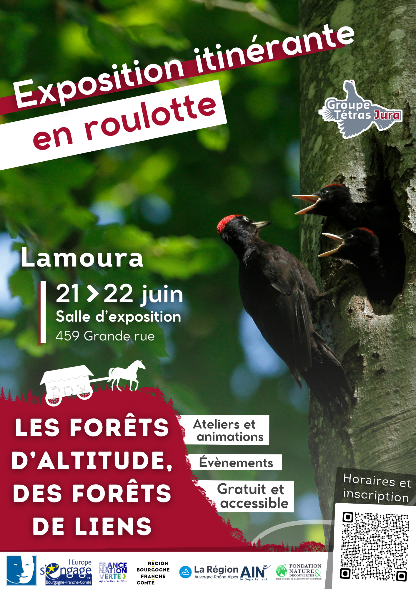 Exposition Itinérante "Les forêts d'altitude, des forêts de liens"