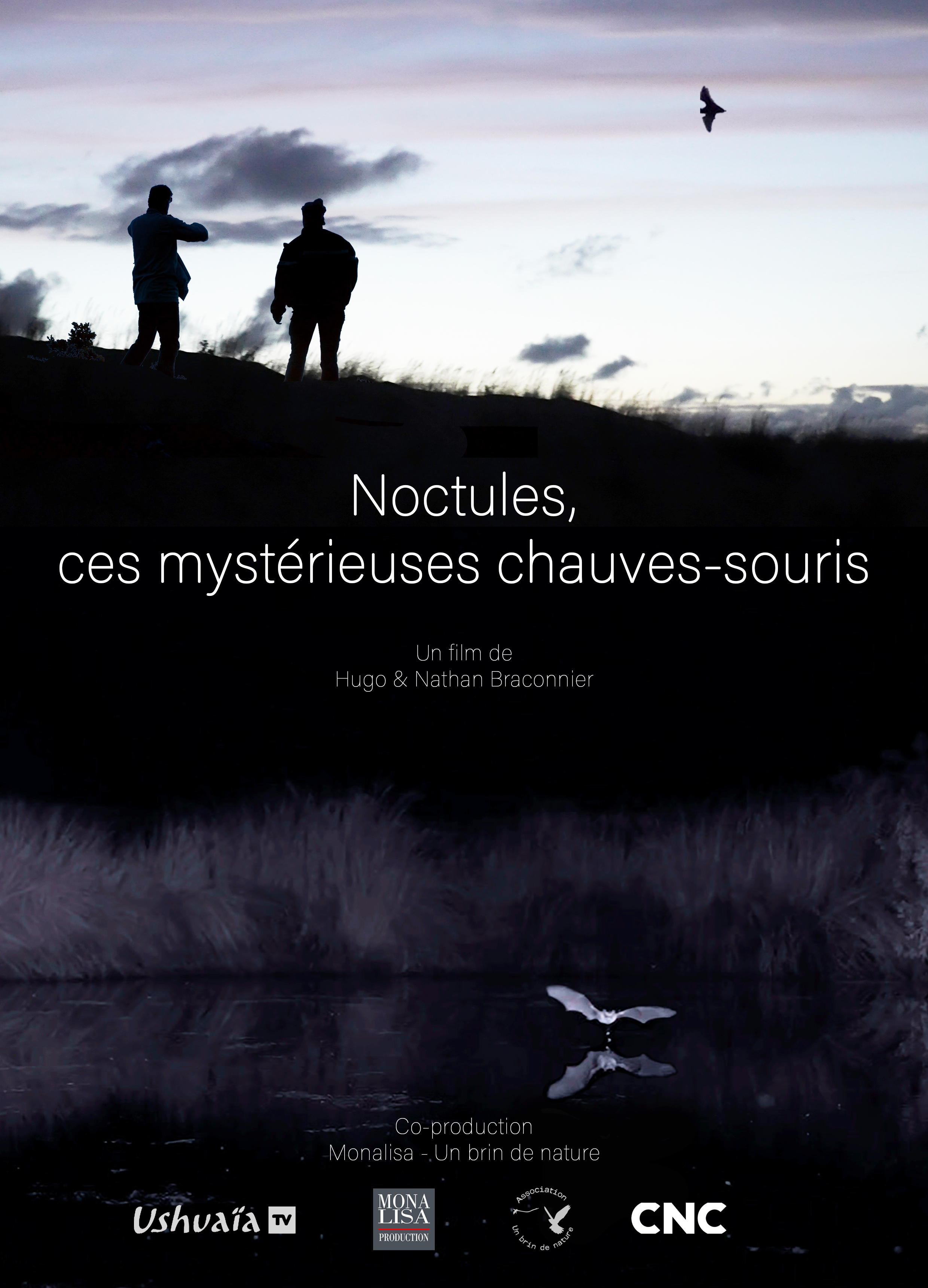 Média additionnel 5