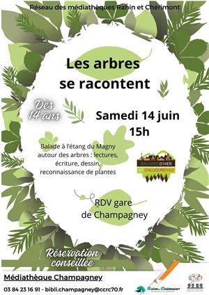 Les arbres se racontent: balade.