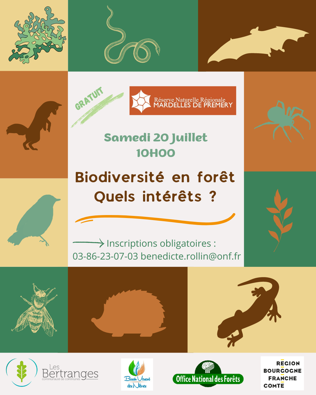 Biodiversité en forêt, quels intérêts ?