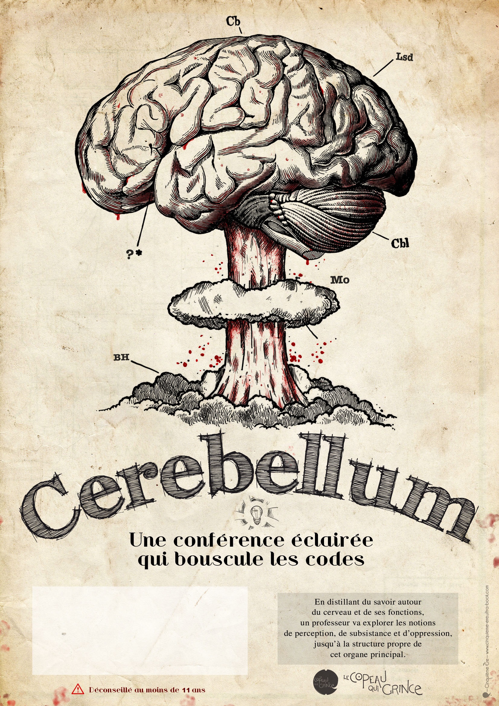 affiche cerebellum 2024