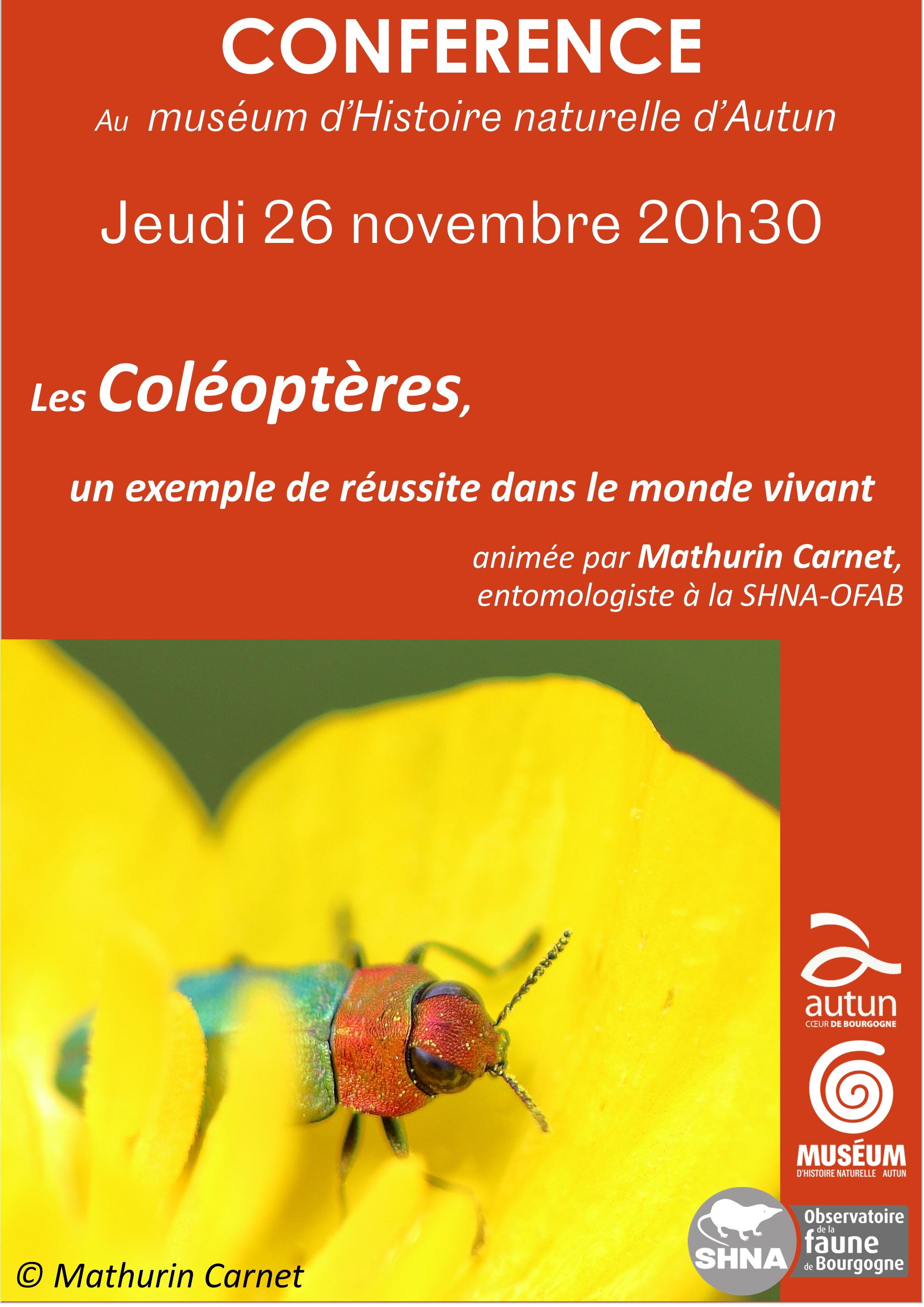 Les coléoptères, un exemple de réussite dans le monde vivant (conférence)