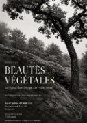 Exposition Beautés végétales