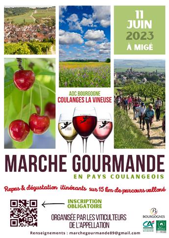 Marche Gourmande en Pays Coulangeois