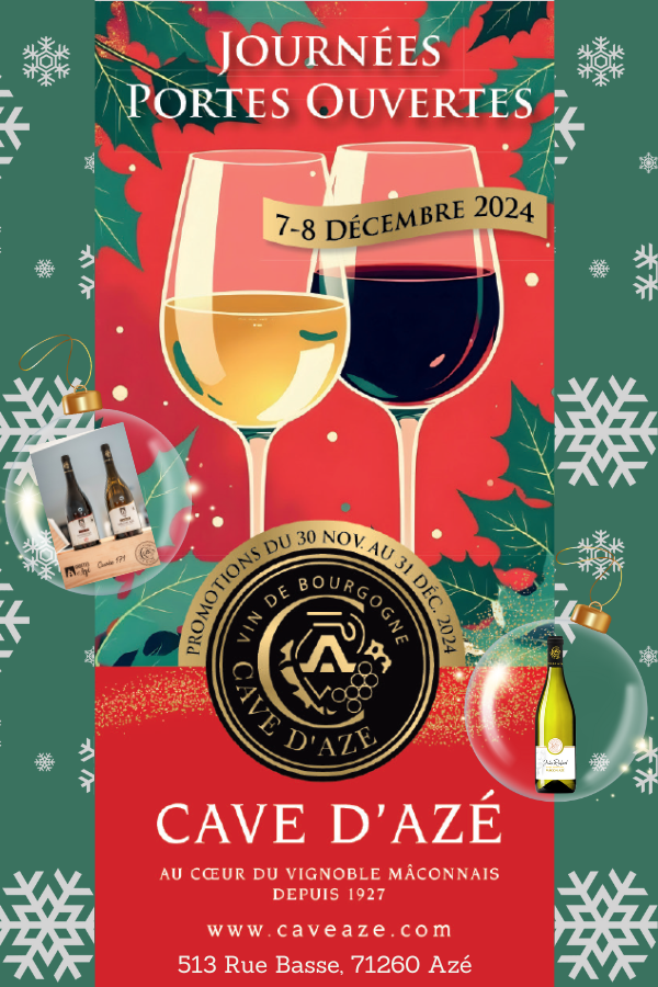 affiche porte ouverte 