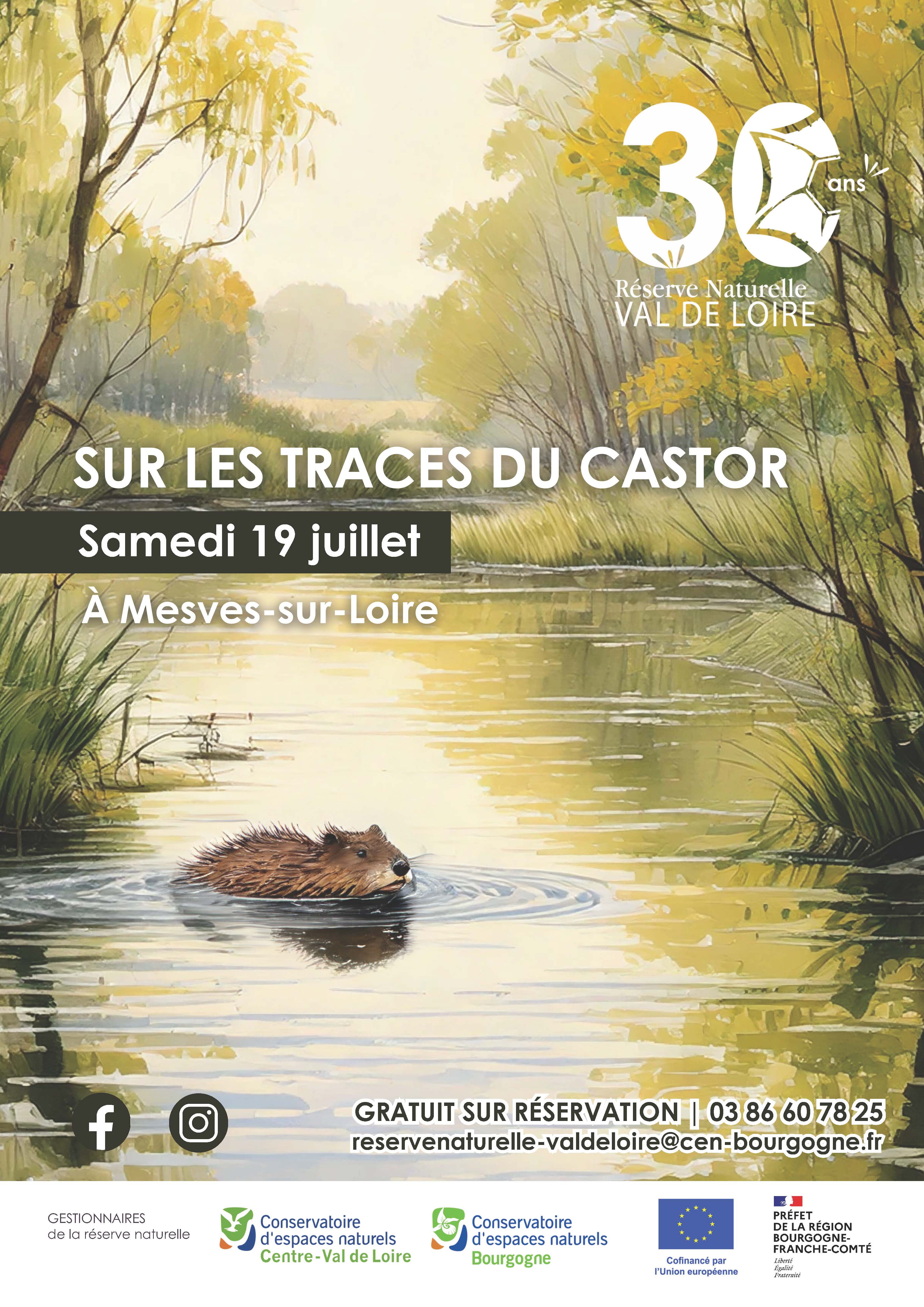 Sur les traces du castor