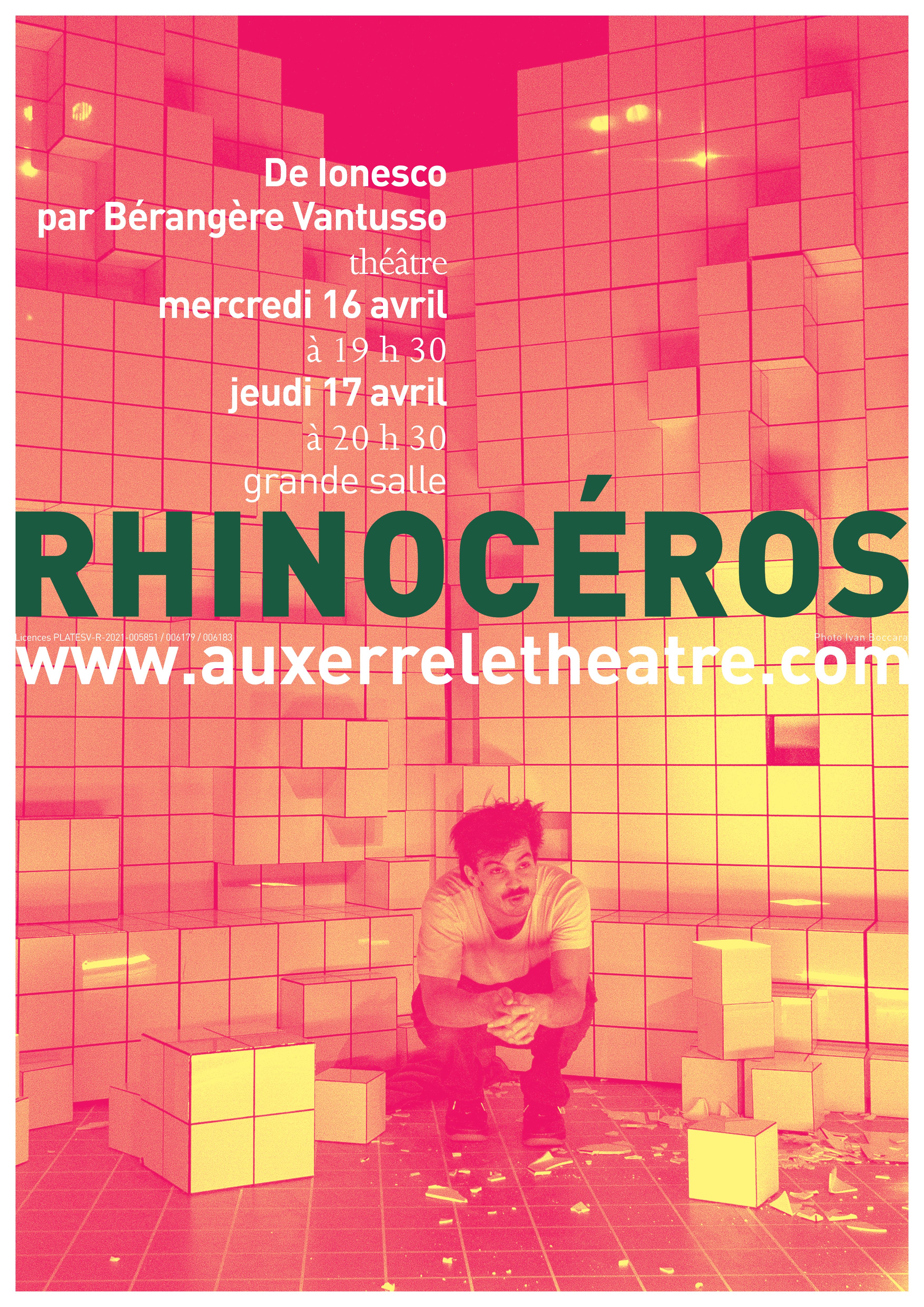 Rhinocéros