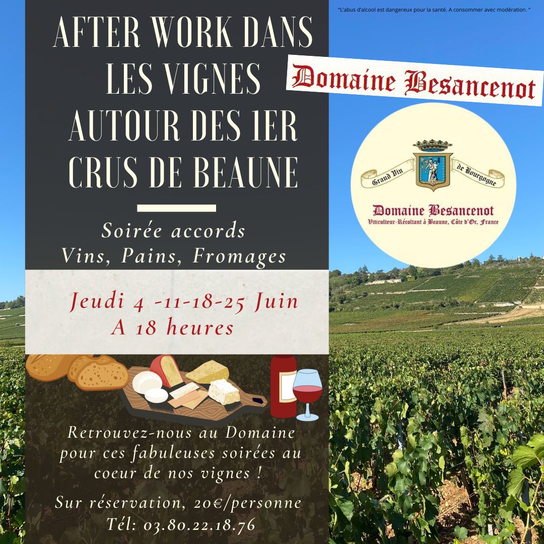 Domaine Besancenot - After work dans les vignes de Beaune