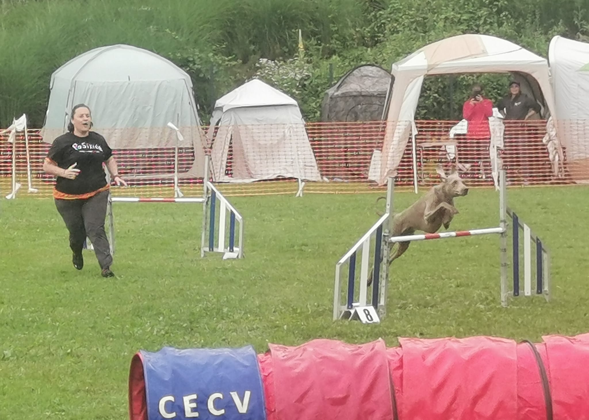 Concours Agility