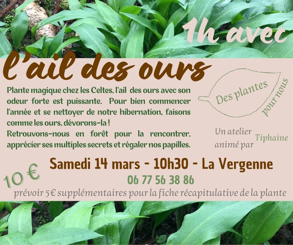 1 heure avec l'ail des ours