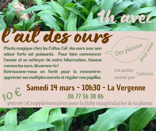 1 heure avec l'ail des ours