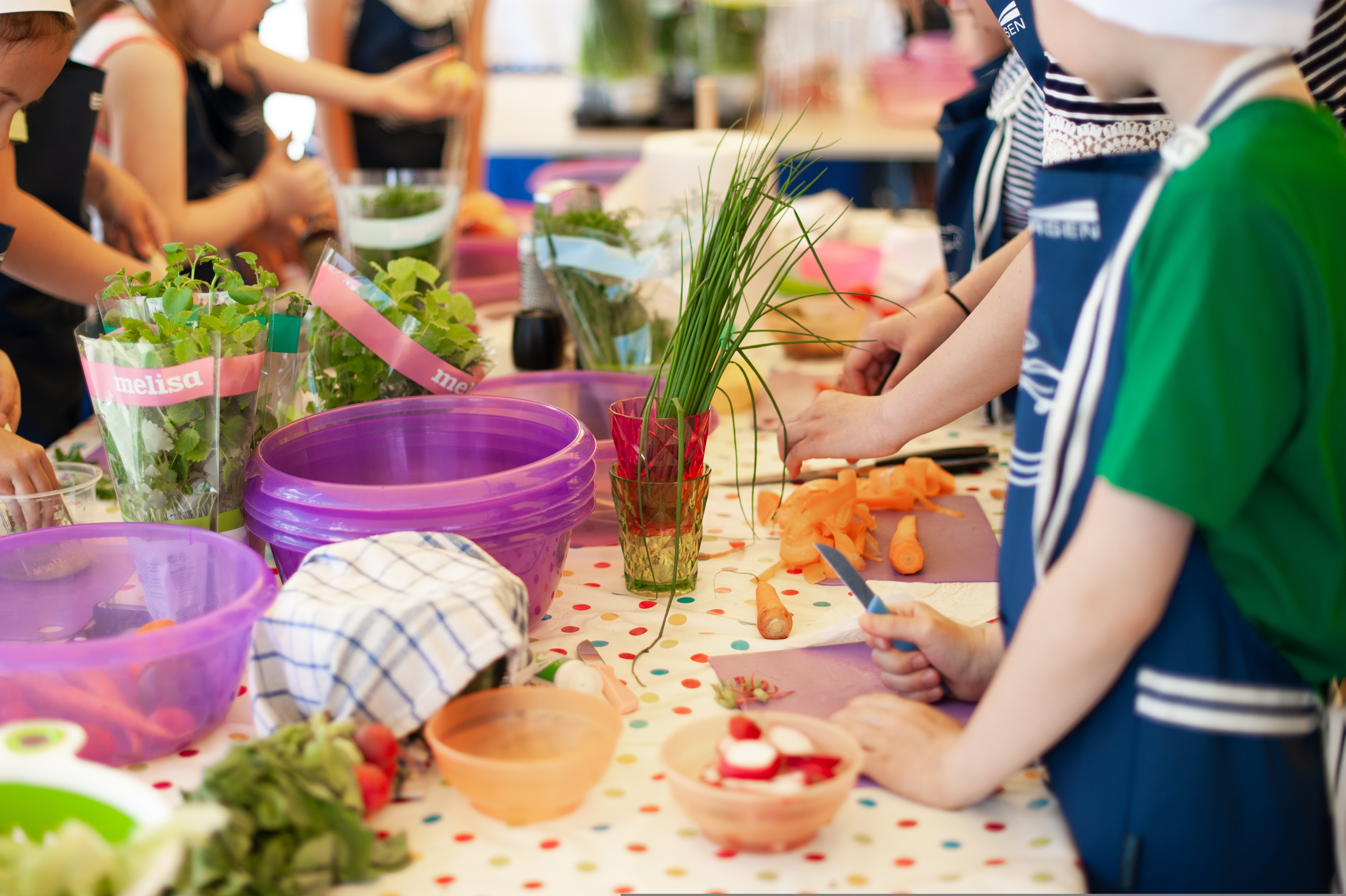 Atelier : Alimentation et Santé