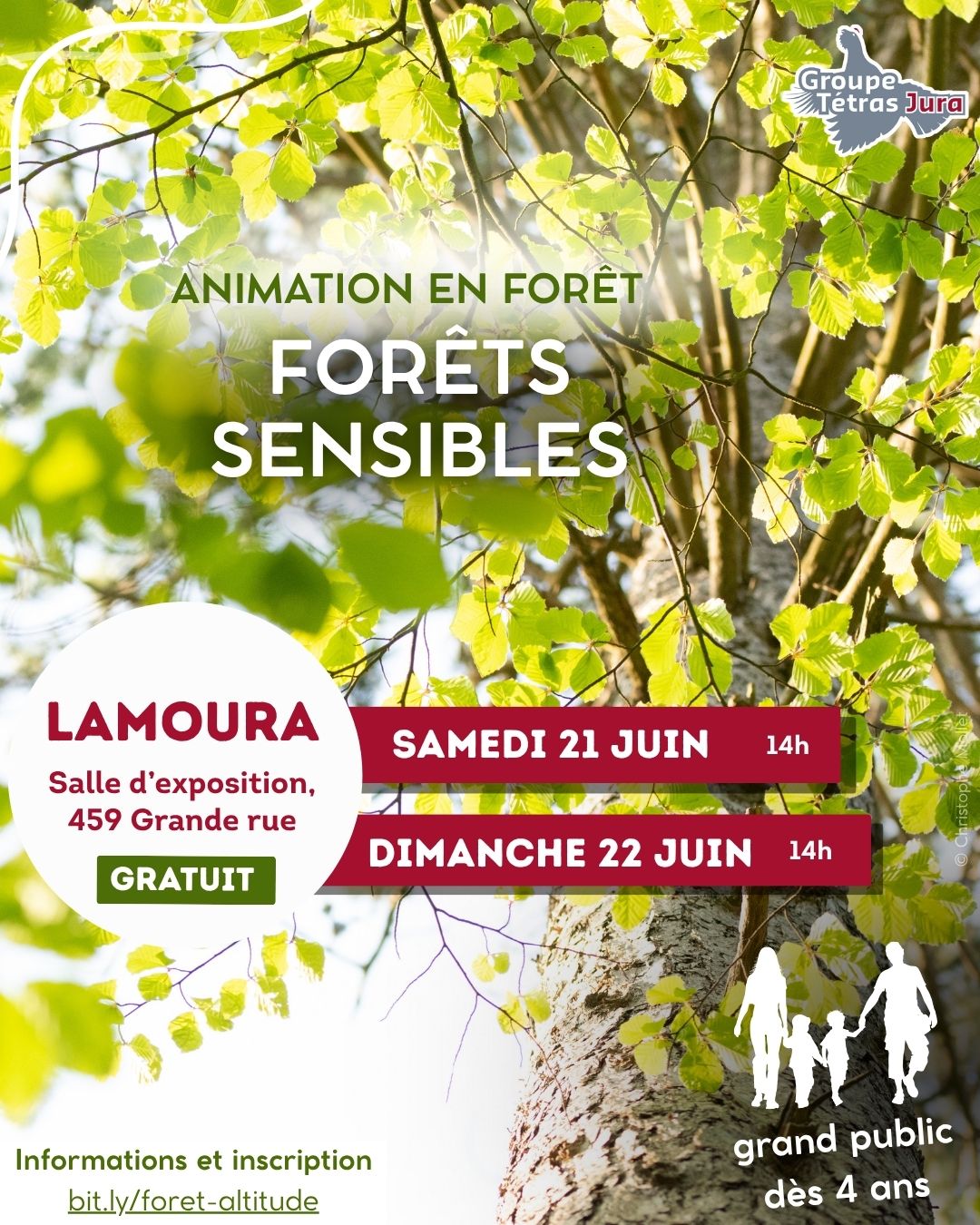 Animation nature : forêts sensibles