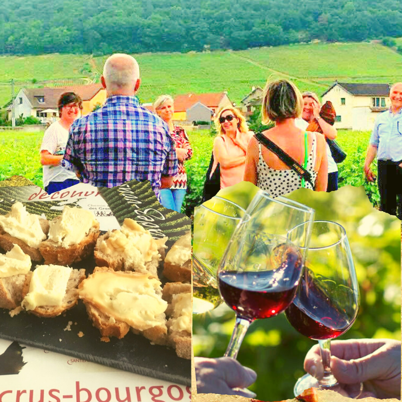 apéritif dans la vigne