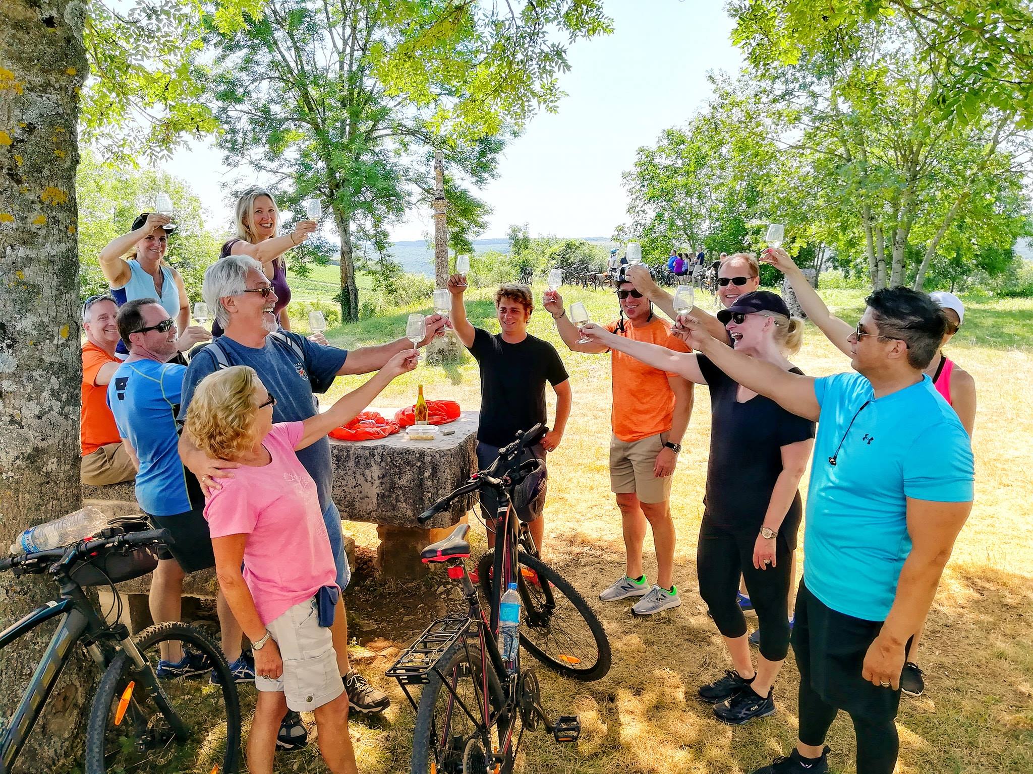 Dégustation dans les vignobles