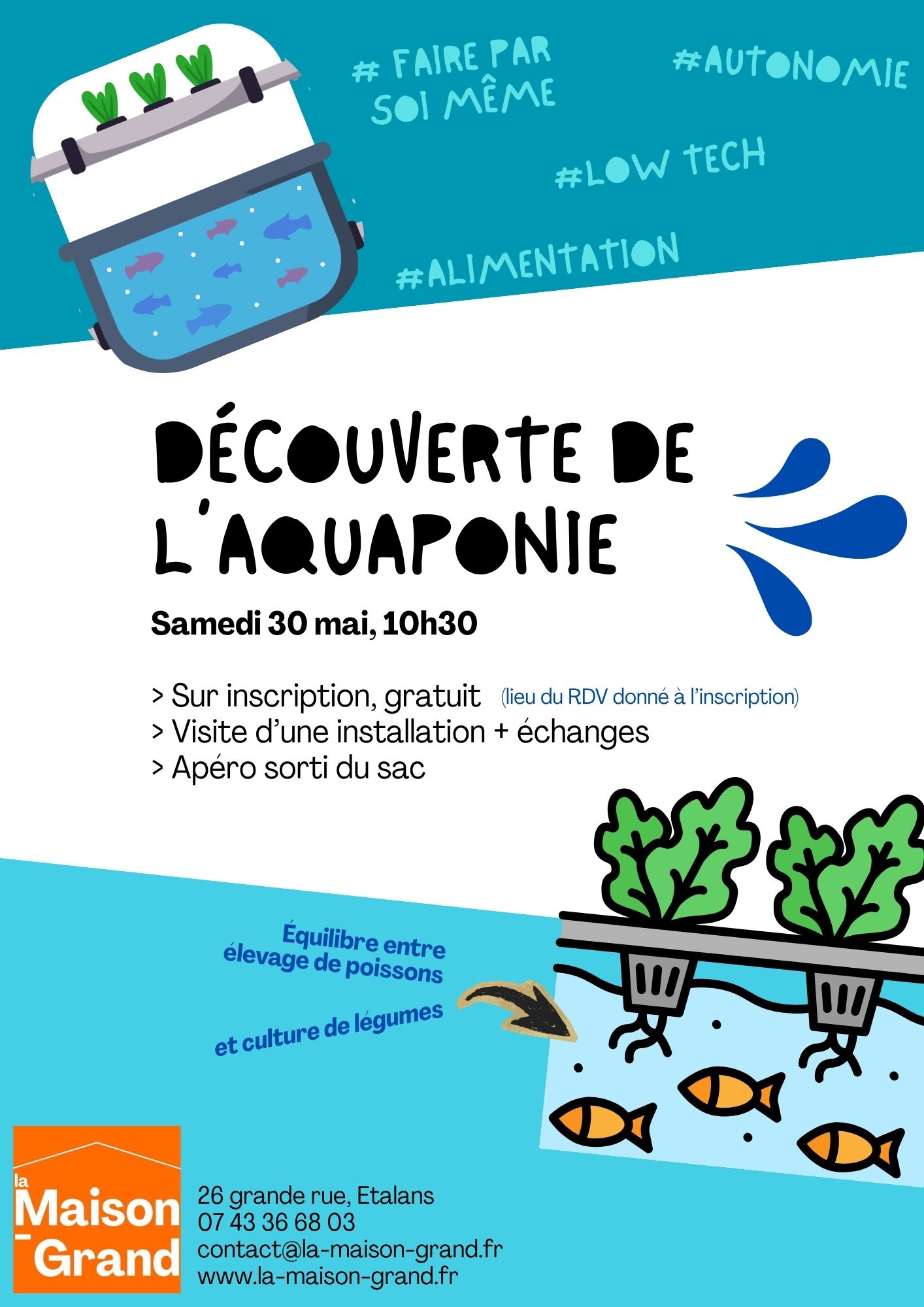 Découverte de l'aquaponie