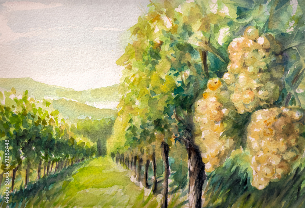 Atelier : Initiation à l’aquarelle