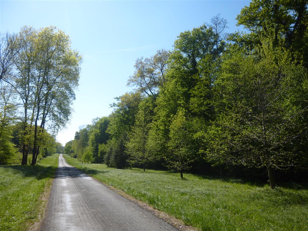 Bois des Fouchères