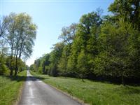 Bois des Fouchères