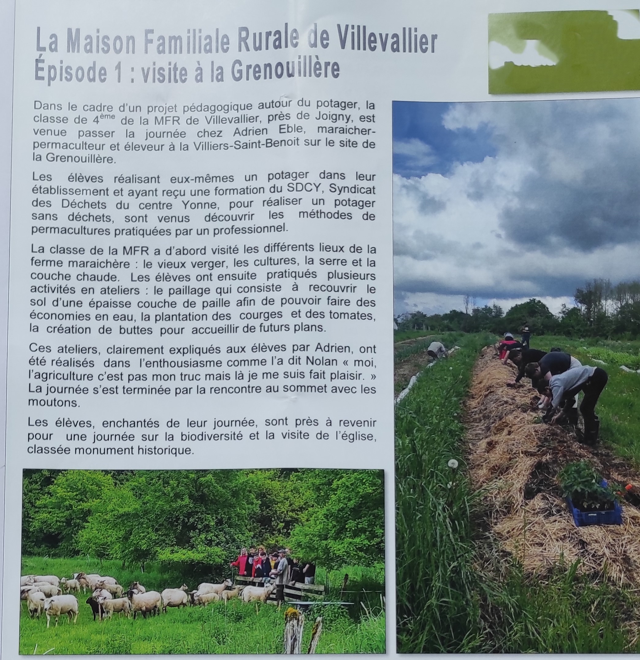 article