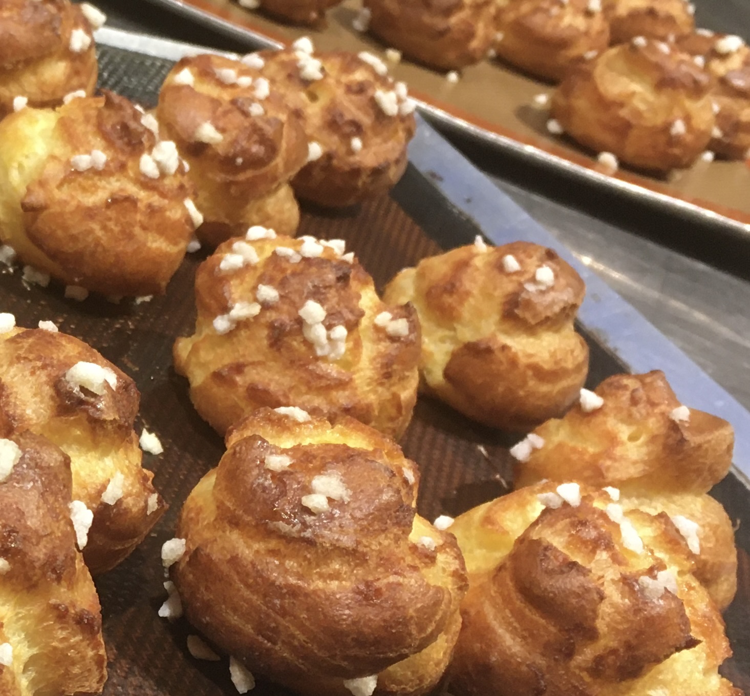 atelier choux 