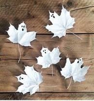 atelier feuilles vigne