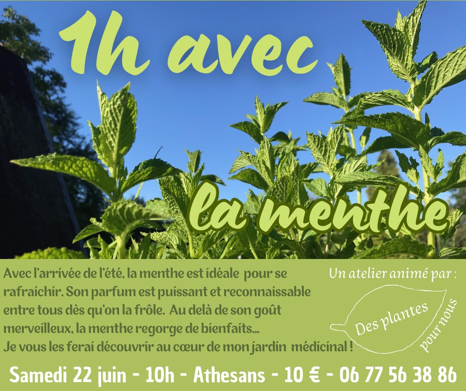 atelier menthe ATHESANS 22 juin