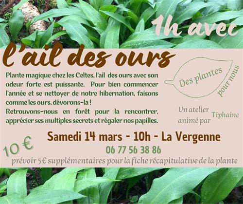 1 heure avec l'ail des ours