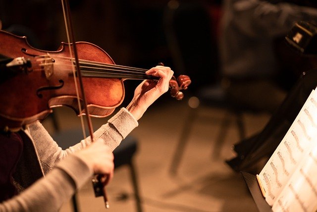 audition violon - chevalets