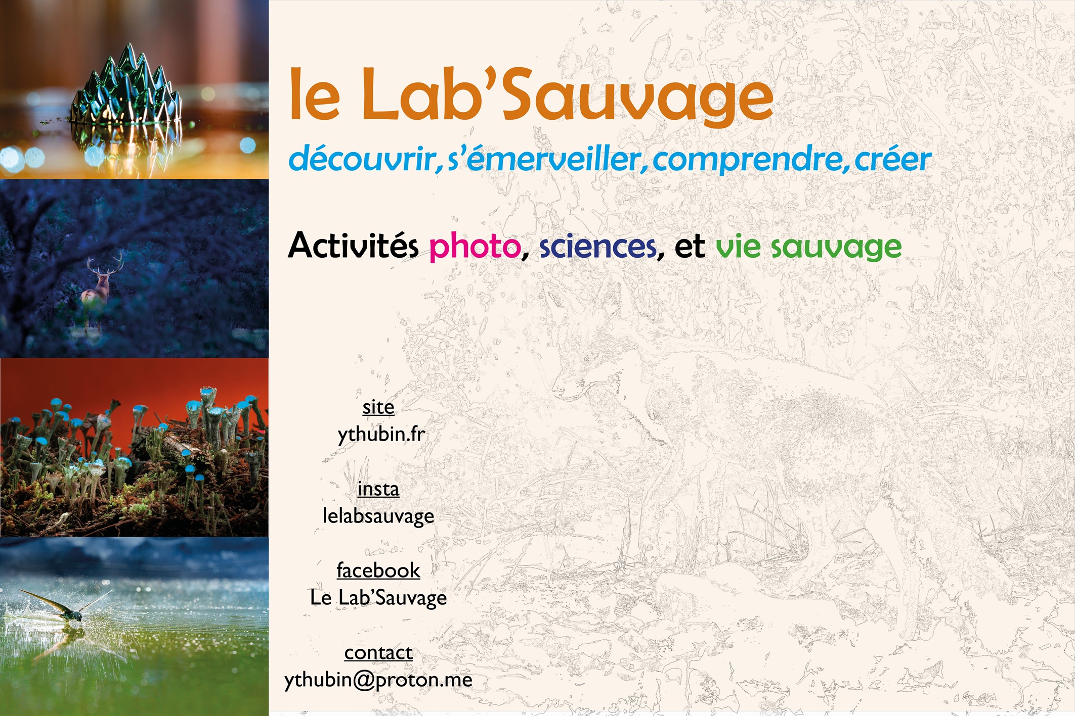 Média additionnel 1