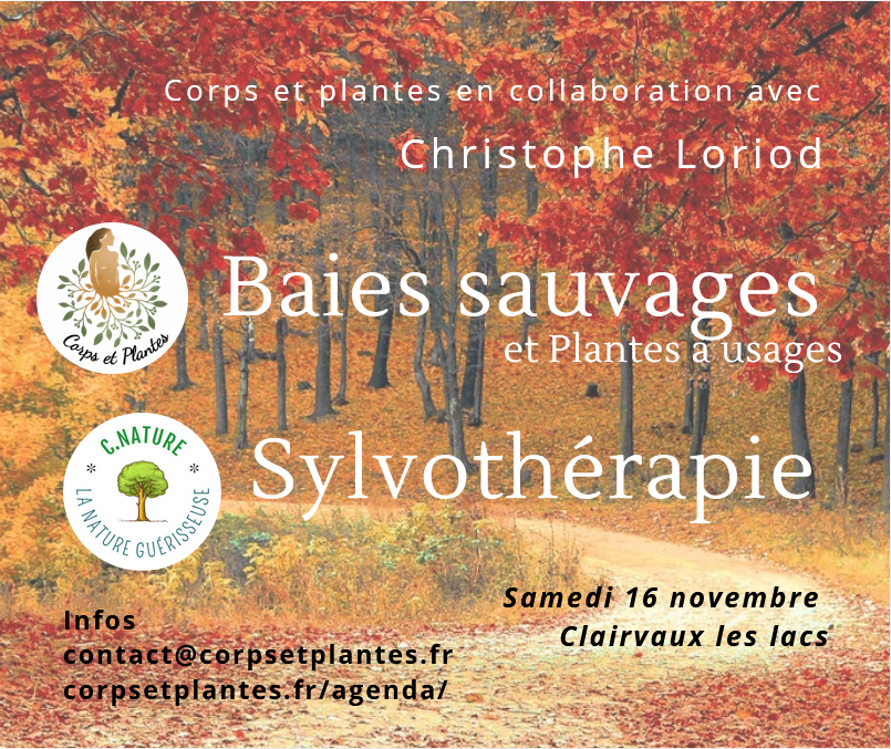baies et Sylvo