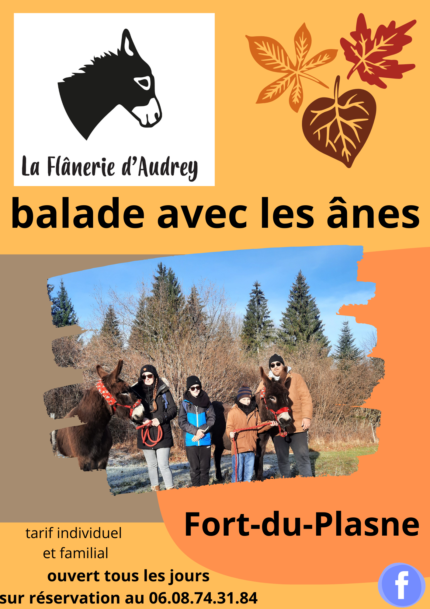 Balade avec les ânes