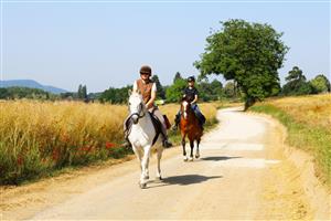 Le petit Ranch du Clos de la Chevauchée