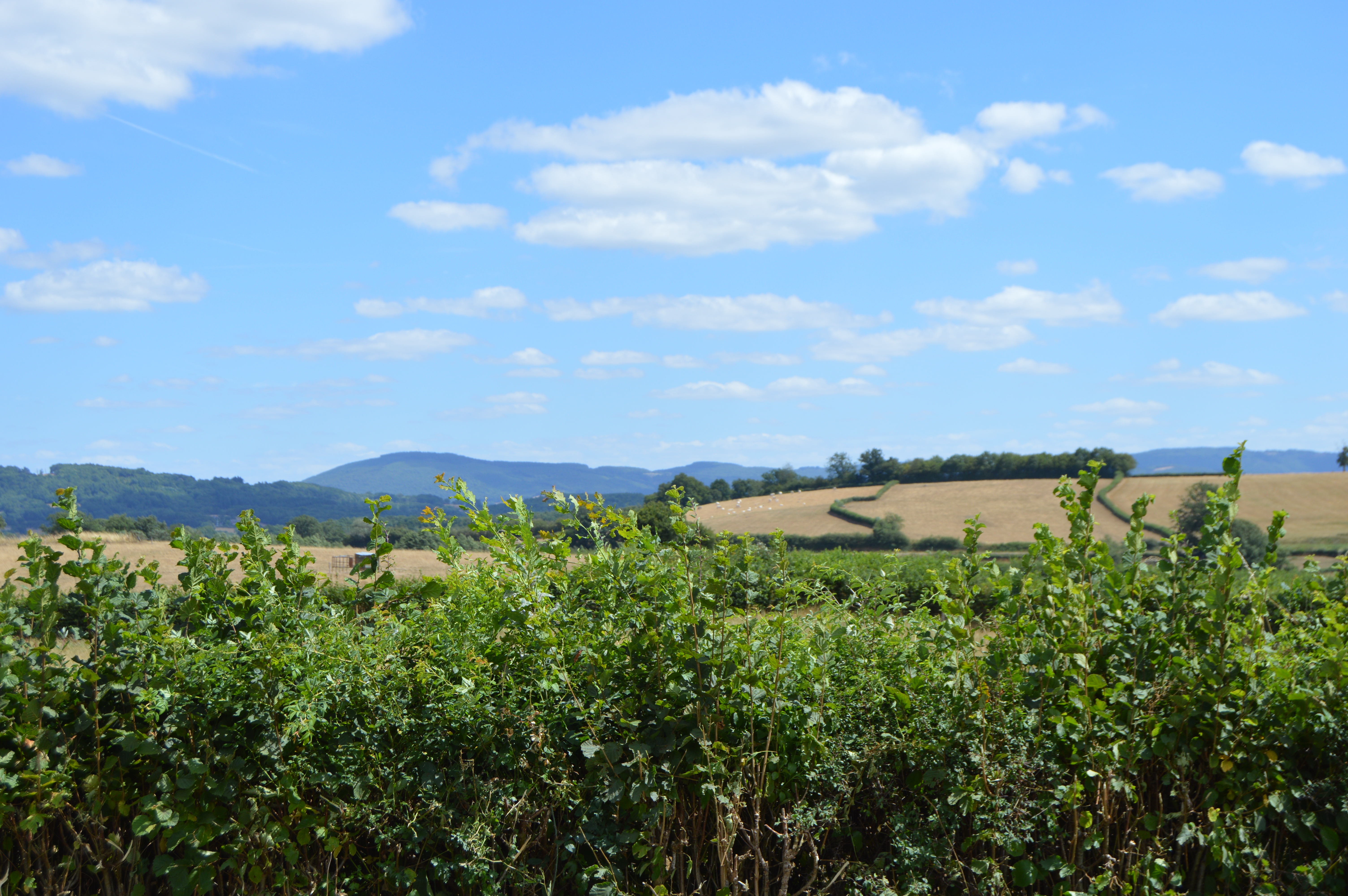 Sur les Hauteurs de Laizy