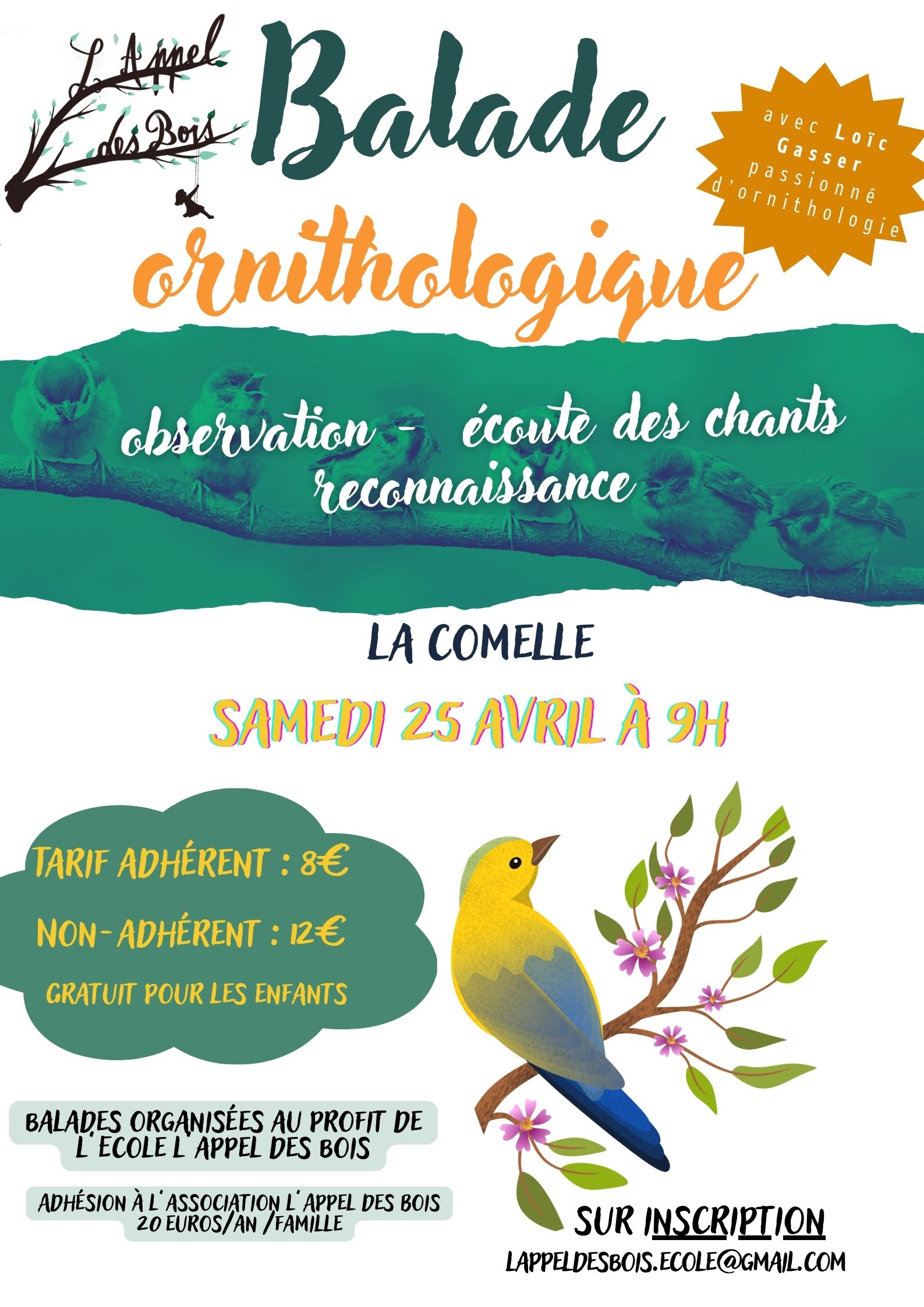 Balade ornithologique — visuel événement