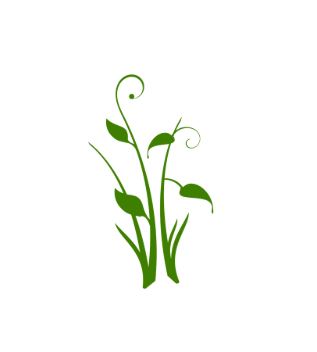 Balade à la découverte des plantes comestibles