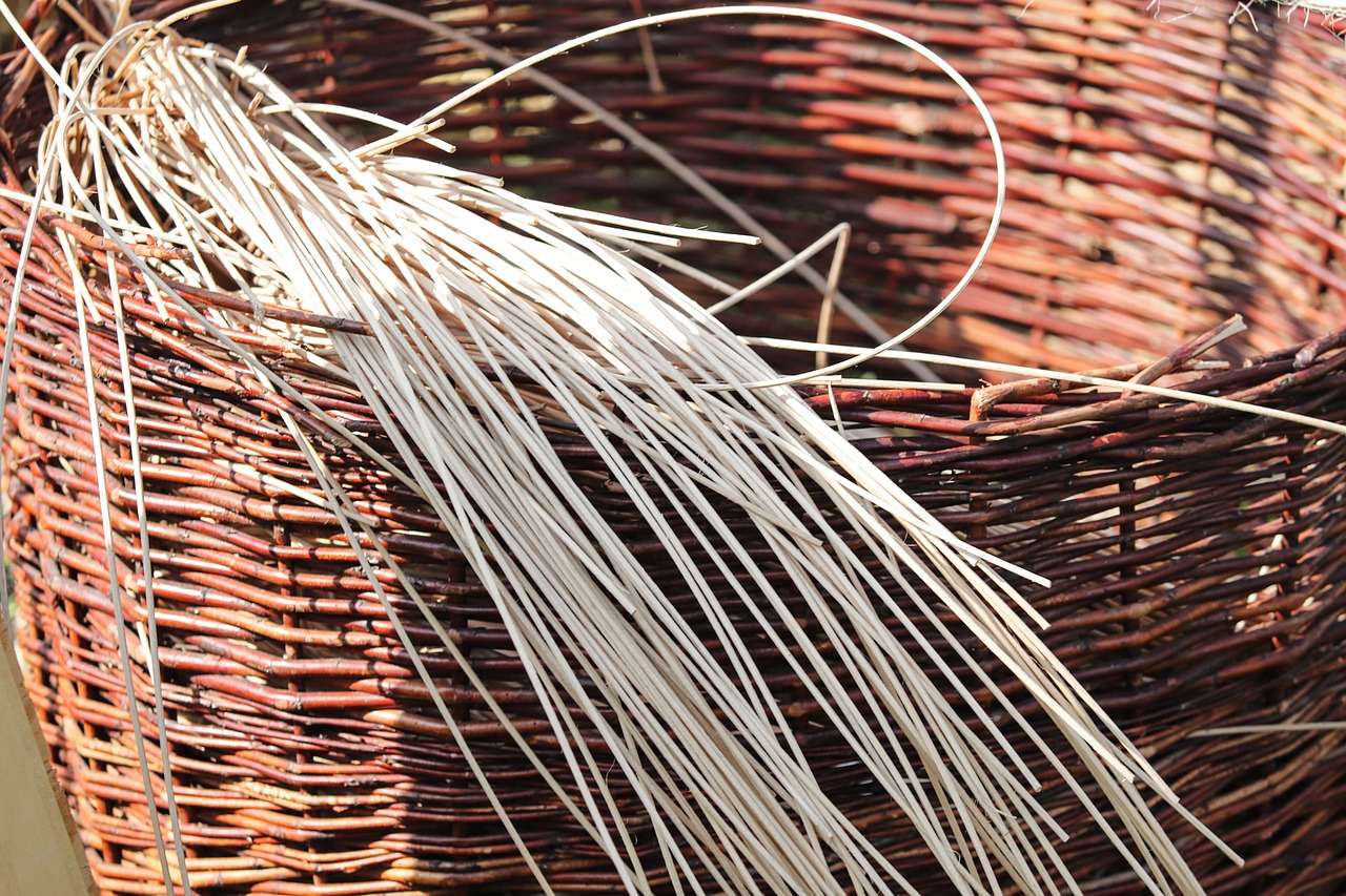 Tressages vagabonds - Decize - Crédits : Manfredrichter-pixabay