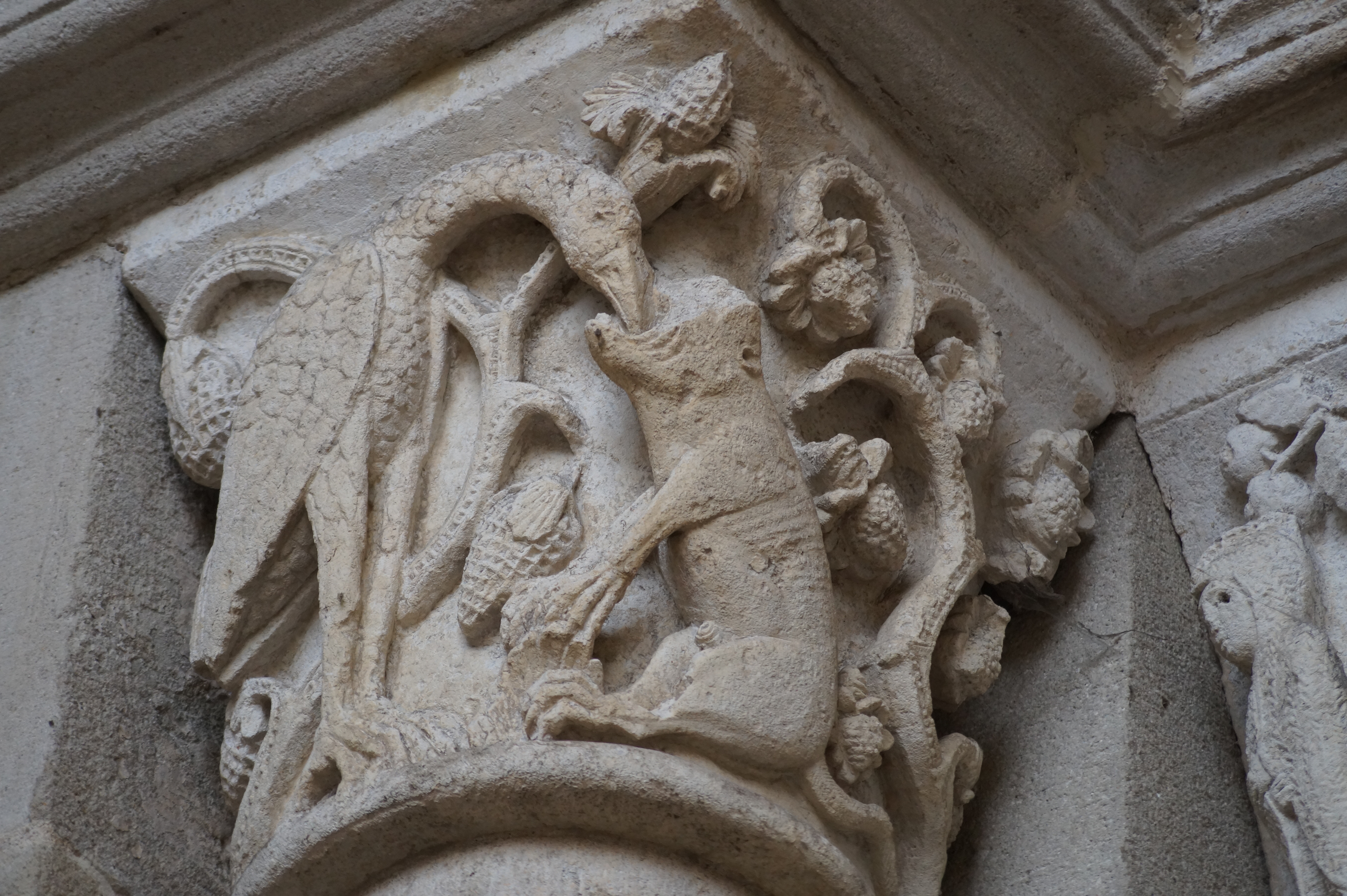 bestiaire de la cathédrale