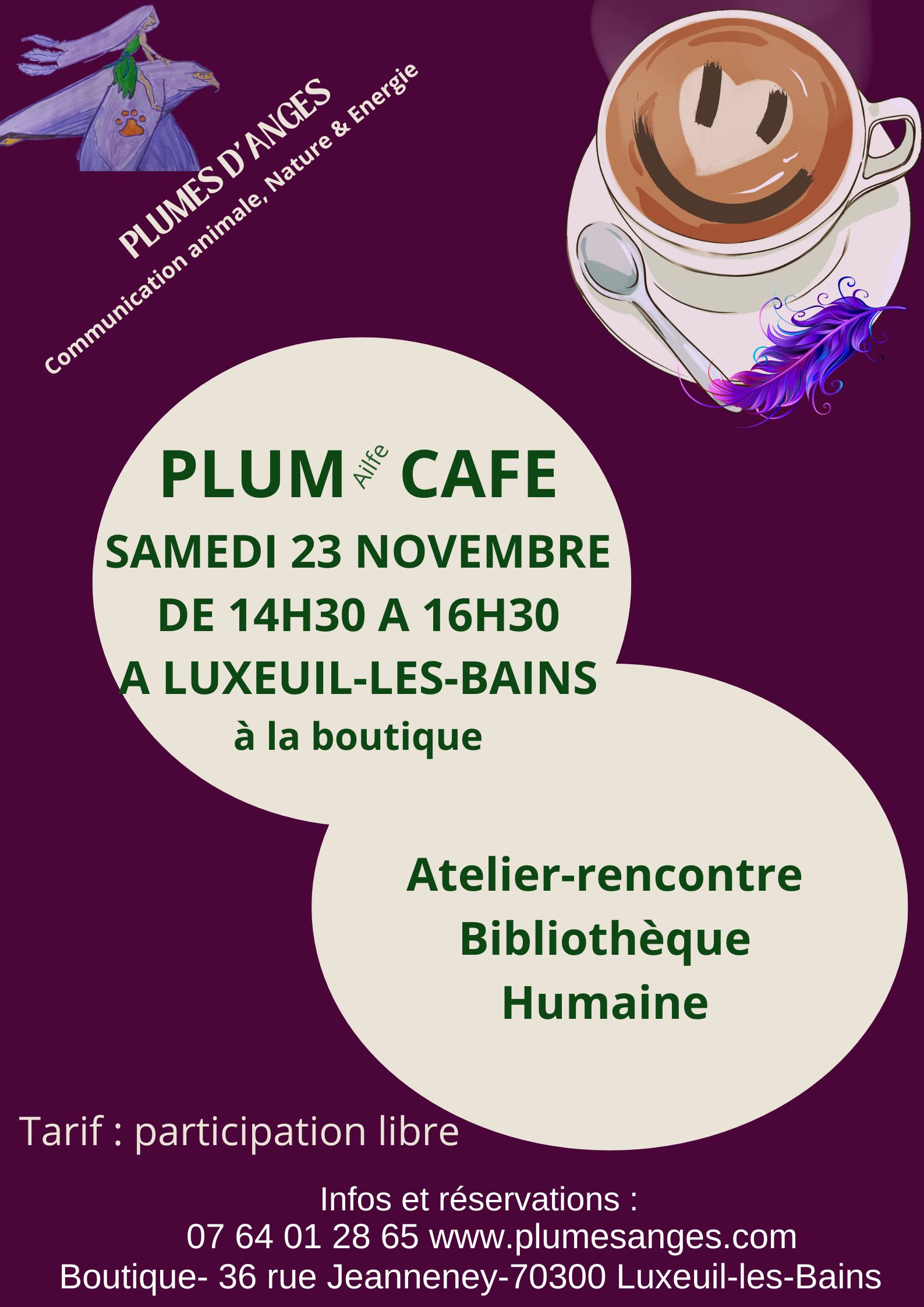 bibliothèque humaine-plumes d'anges-luxeuil les bains-haute saone