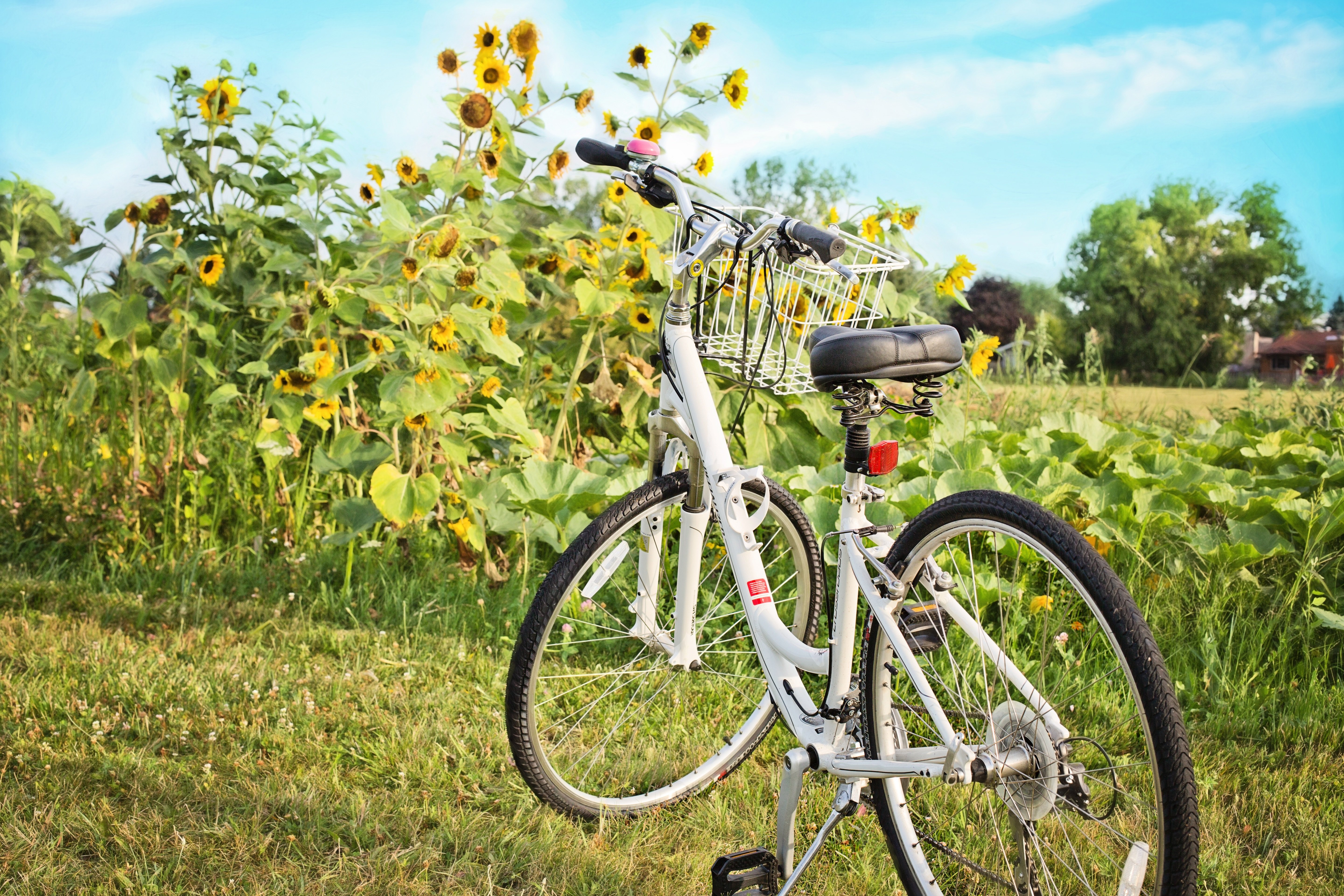 Bicyclette