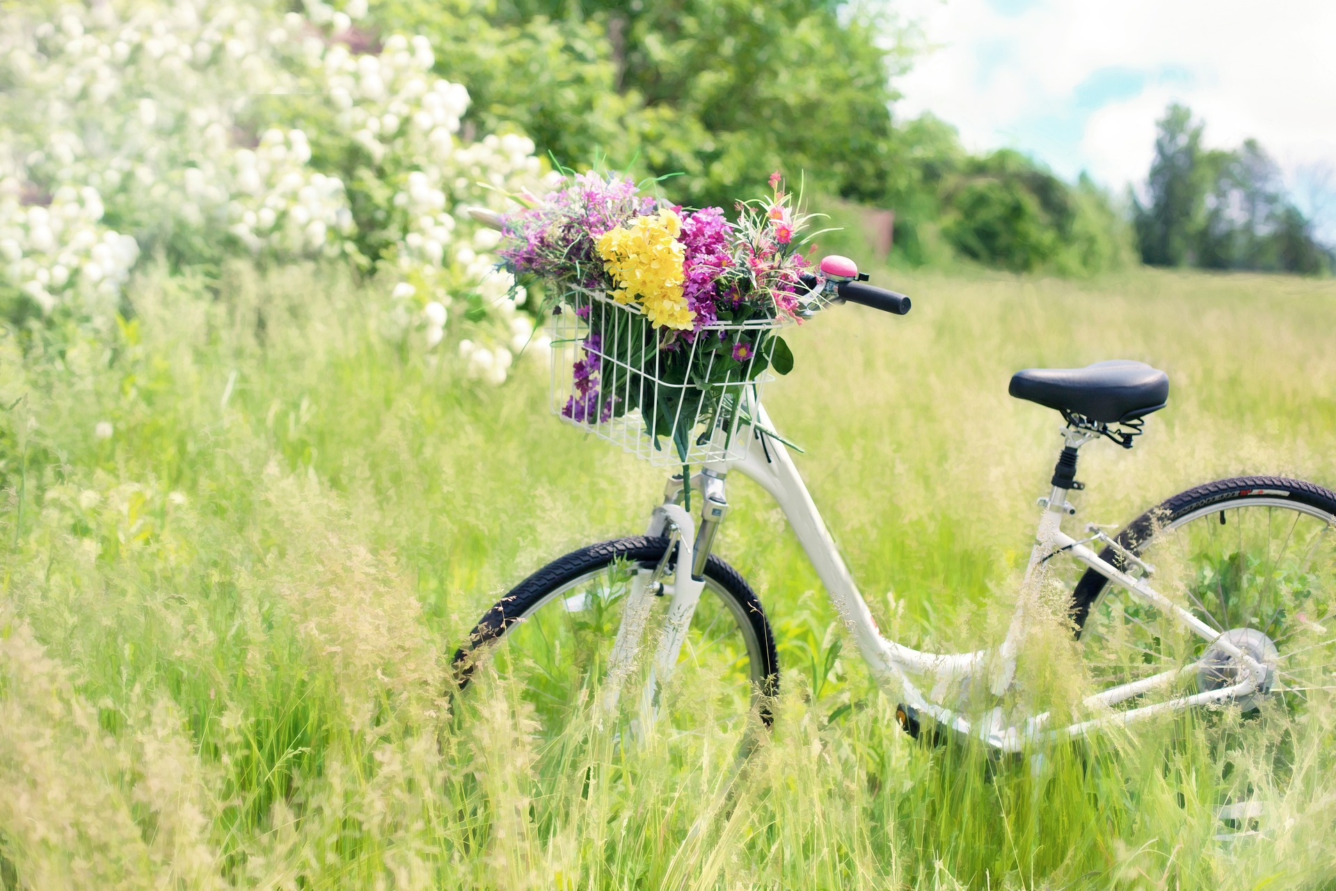 bicycle-g631f5a747_1920
