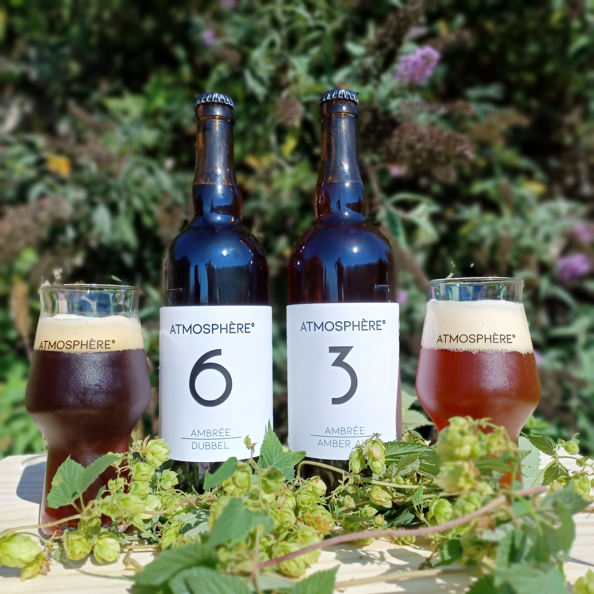 bières atmosphere 3