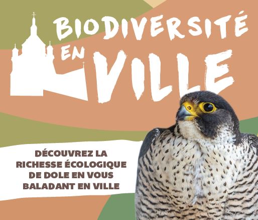 biodiversité - Crédits : dole envionnement