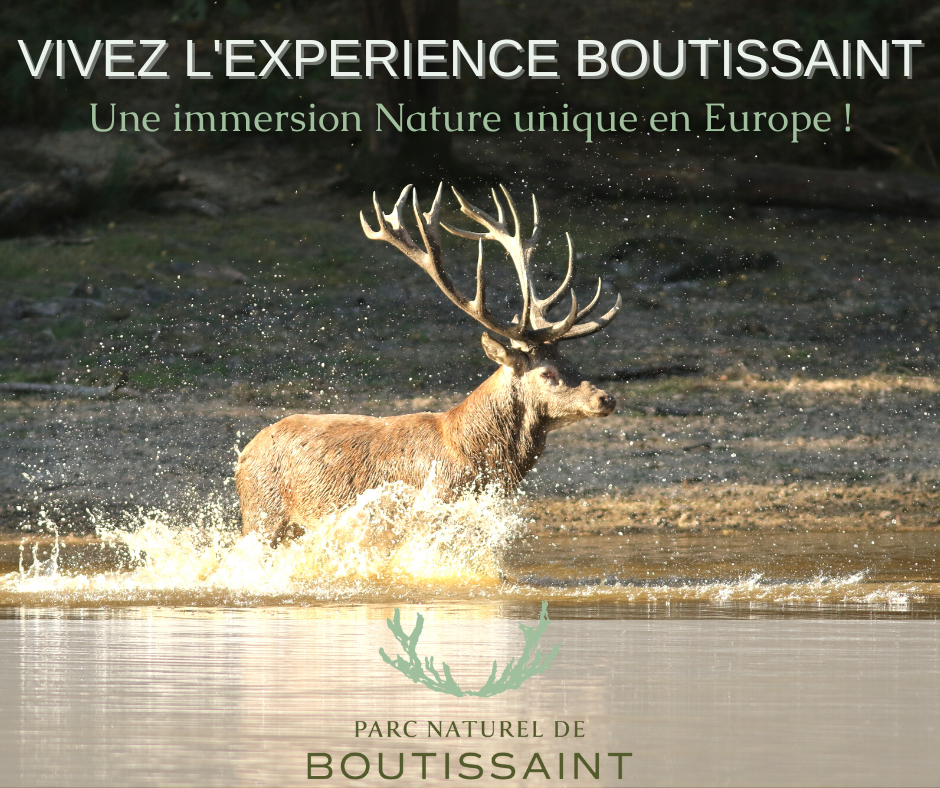 Copie de Copie de NATURE