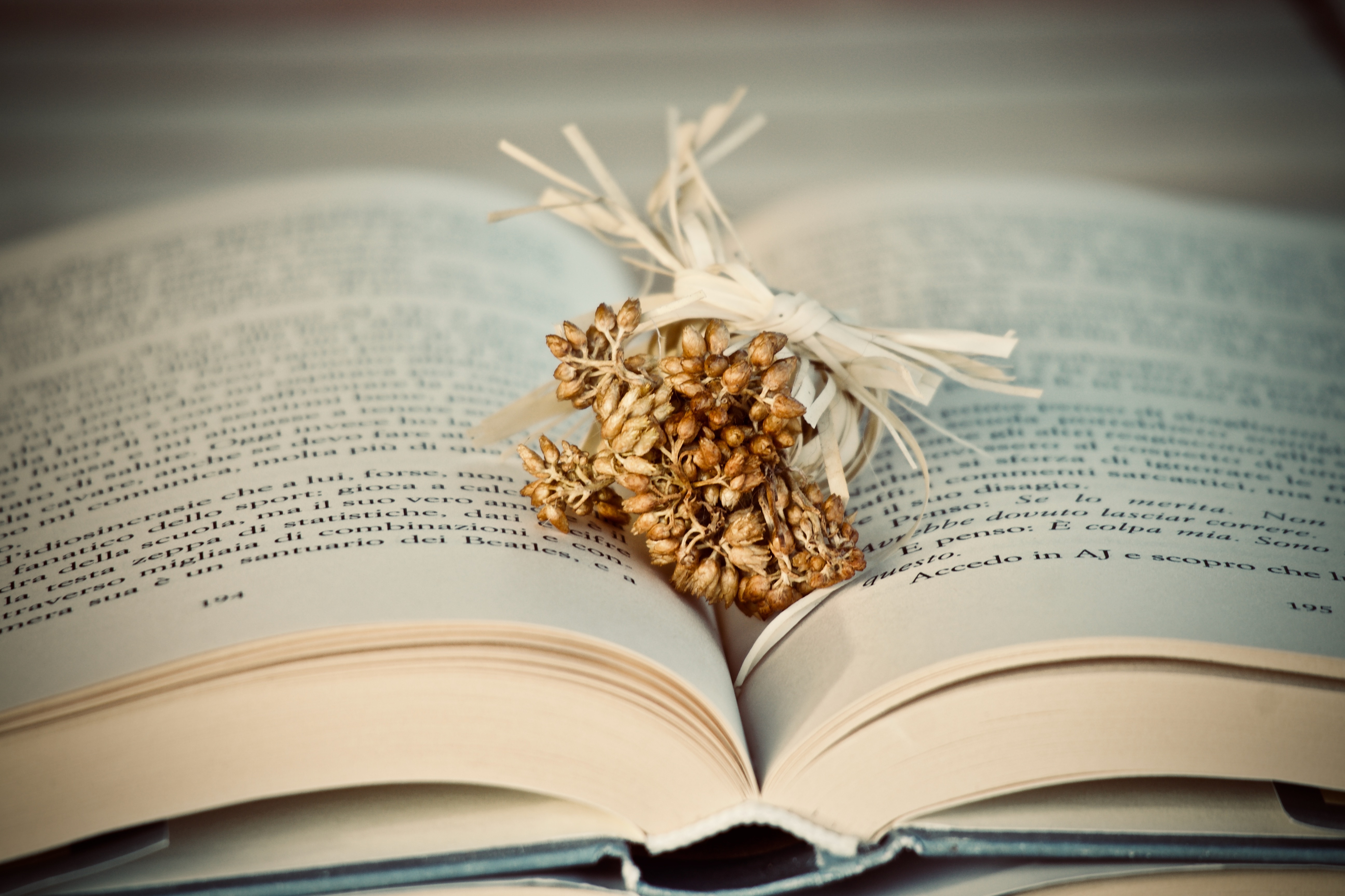 Livre