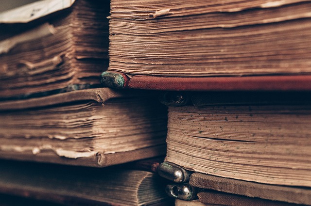 books-4812032_640