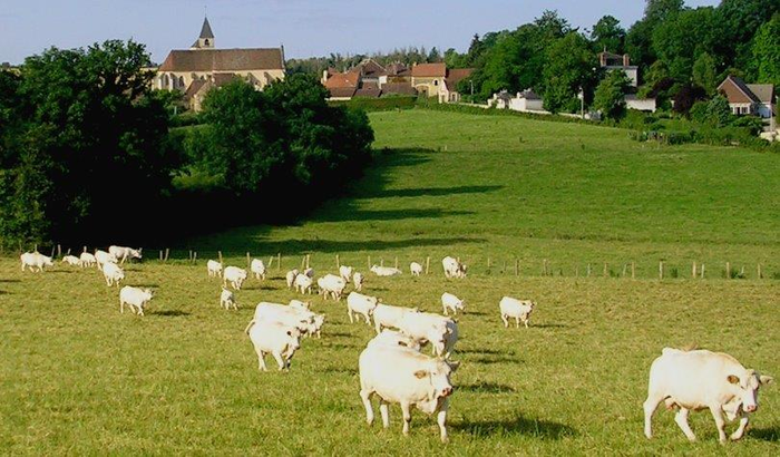 Les Cageots Poyaudins - AMAPP