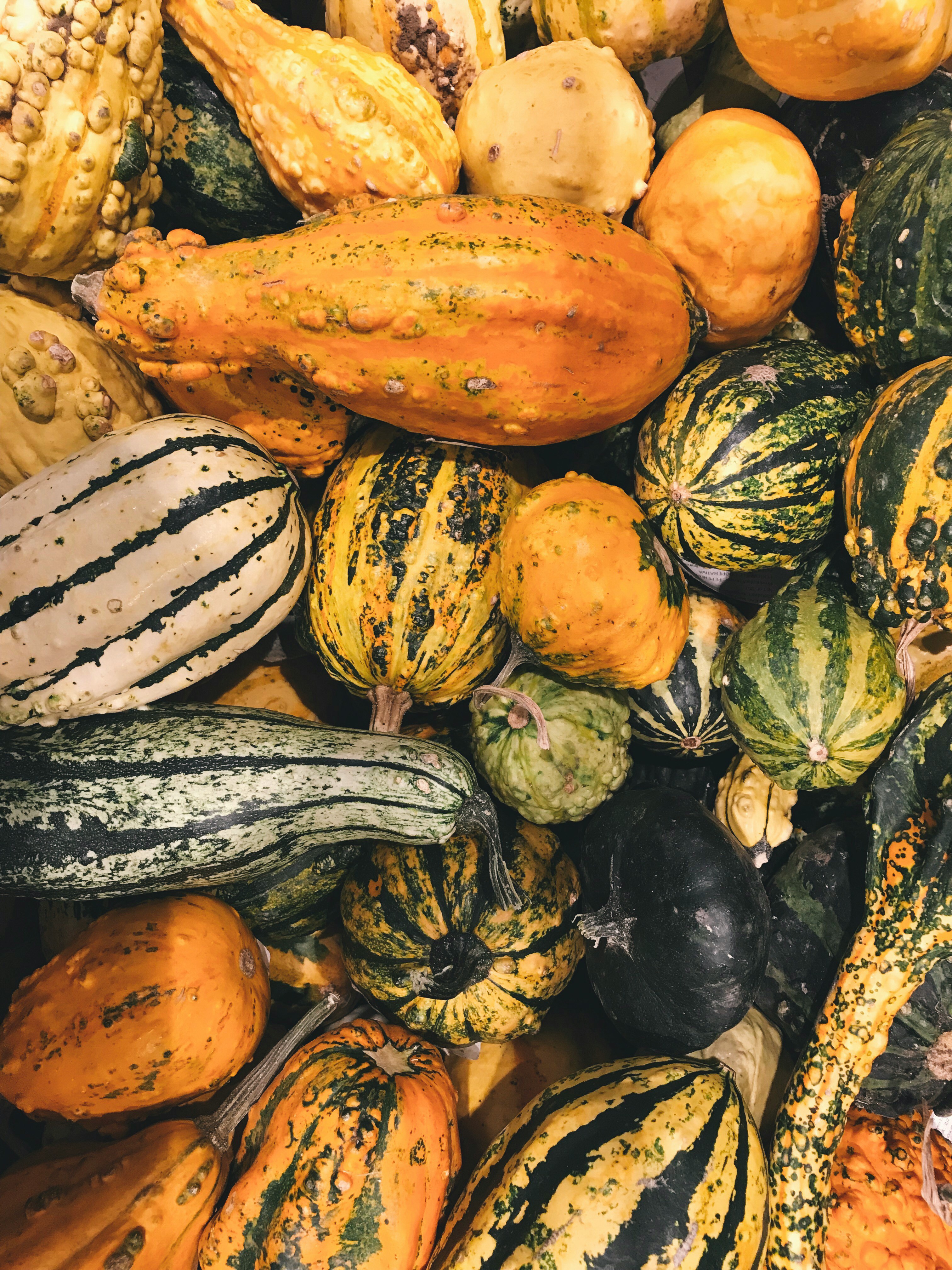 Fête de la courge & des saveurs d'automne