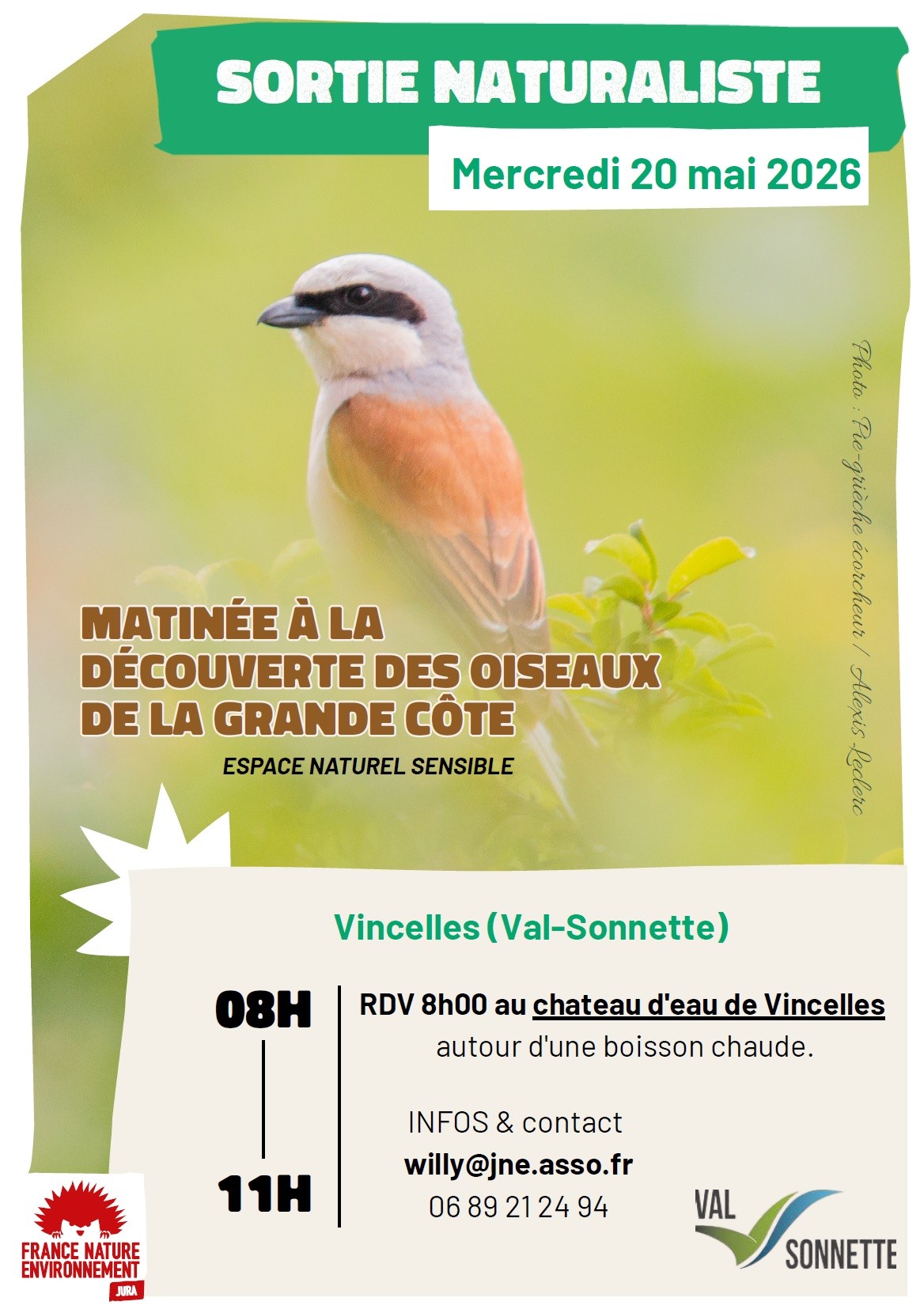 Sortie naturaliste - Les oiseaux de la Grande Côte